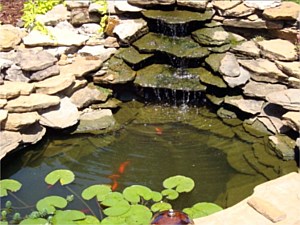 Water Feature Fish Pond, Bay St. Louis, MS