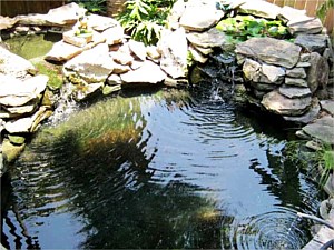 Water Feature Ponds, Ocean Springs, MS